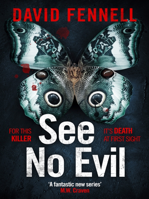 Title details for See No Evil by David Fennell - Available